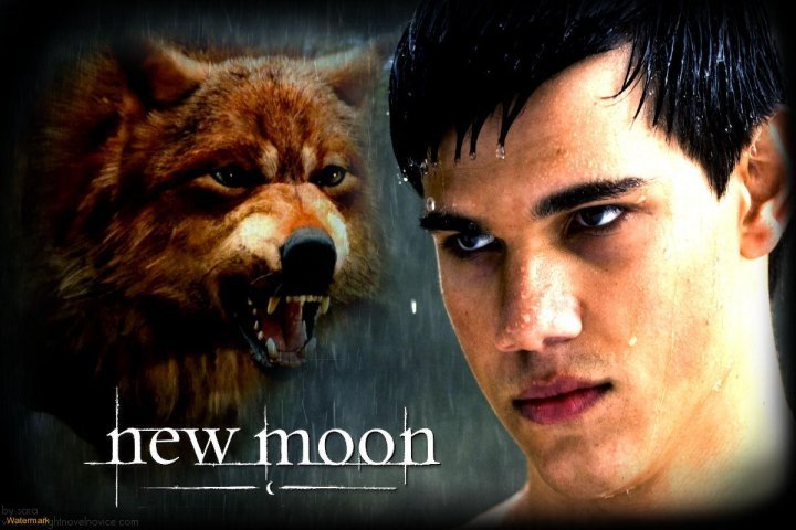 Jake and wolf